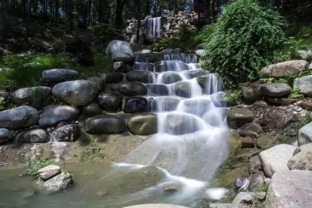 还去洪湖赏荷？蔡甸这个地方十里荷花长廊美炸了，华中一绝！