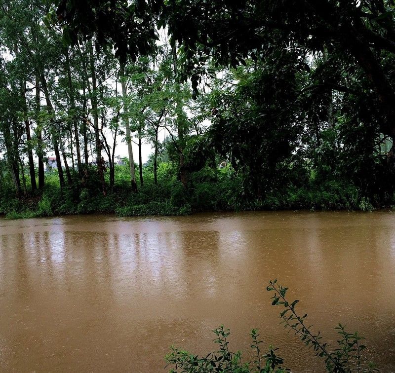 实拍越南农村家庭,六口人月收入3000,日子过得