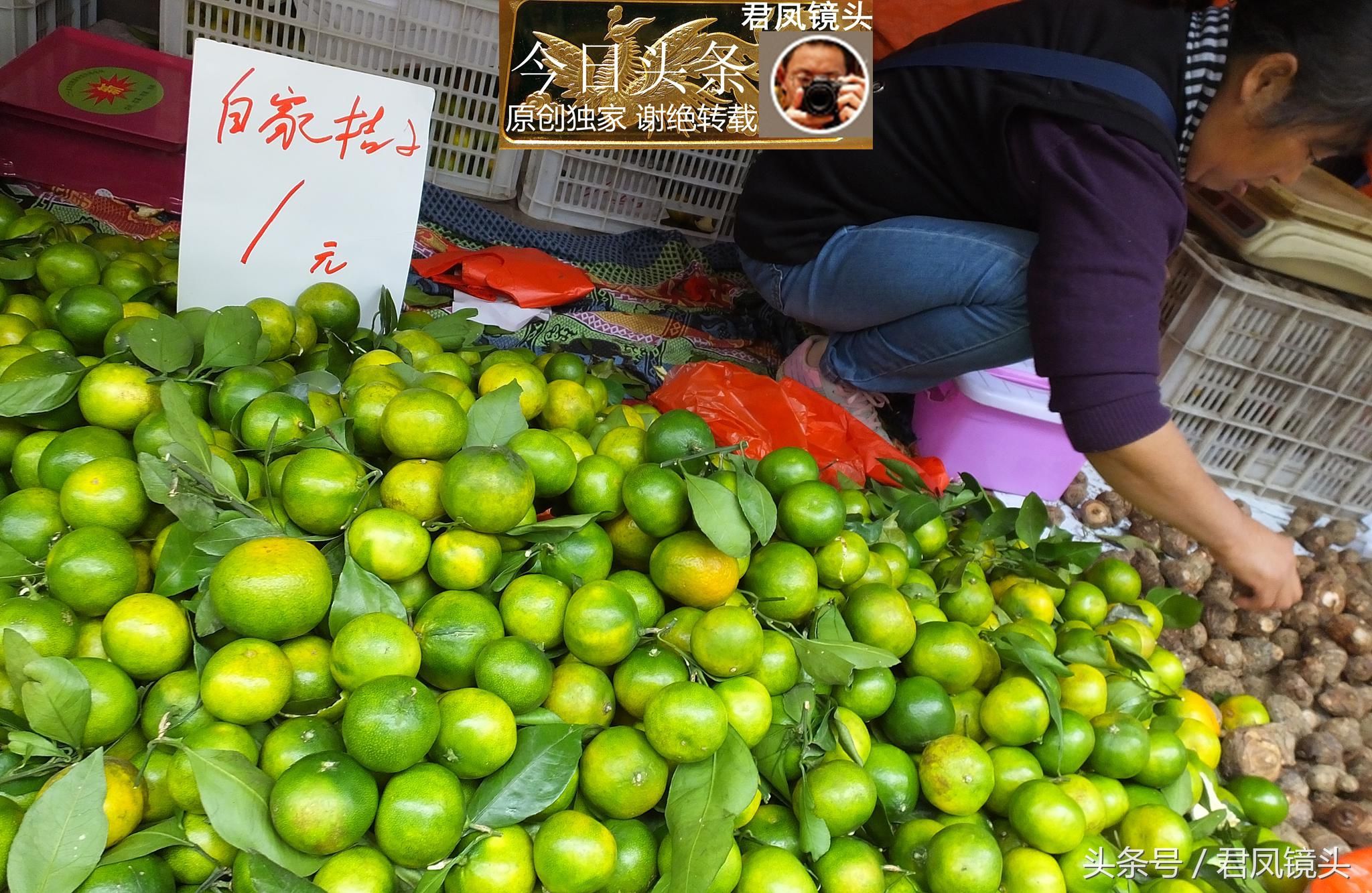 湖北宜昌:葛洲坝菜市场,农民种植的柑橘售价1