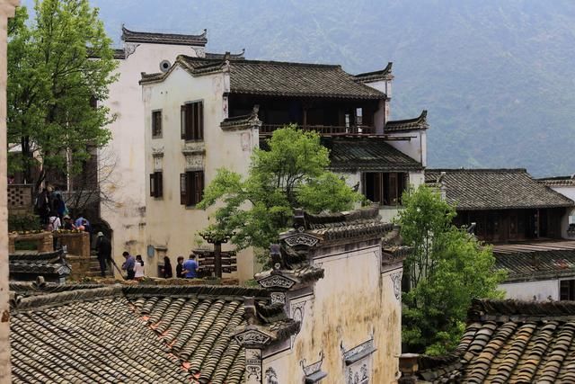 江南的春天最美是油菜花,而这里的油菜花美到不像话