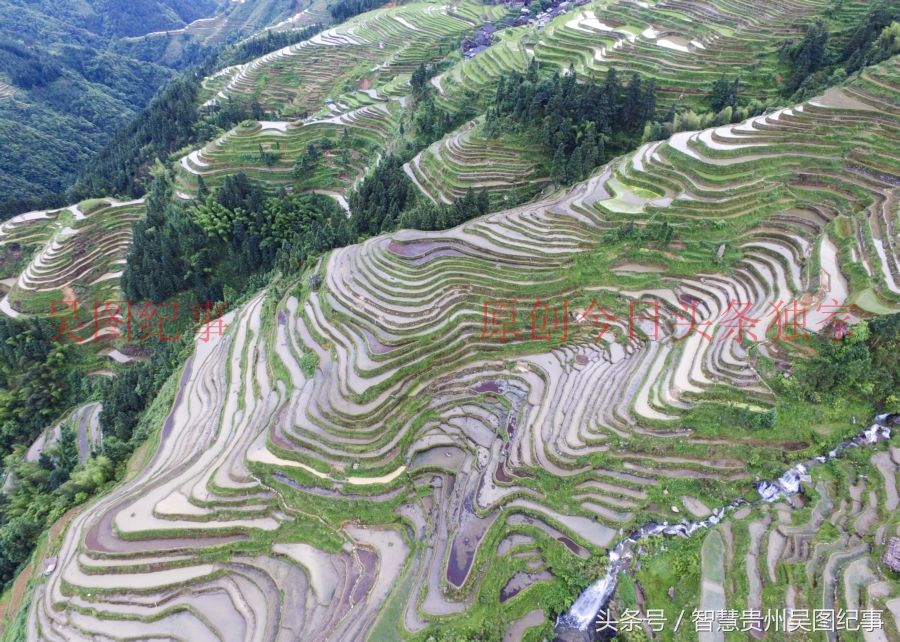 多彩贵州,从江苗族陡坡造田上万亩,全长二十五公里太壮观了