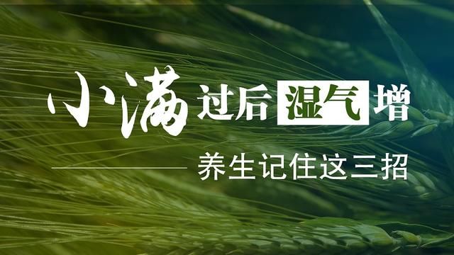 小满过后湿气增，养生重点在这里！记住中医专家的这三招