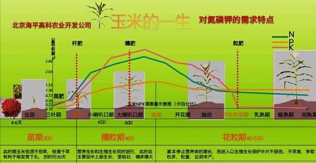 一次性施肥到底好不好？