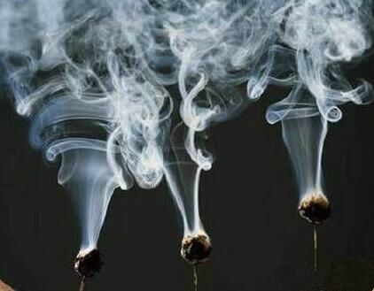 体质好不好,被蚊子咬一口就知道了