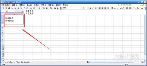 #过年#excel单元格内按回车键没有换行怎么办