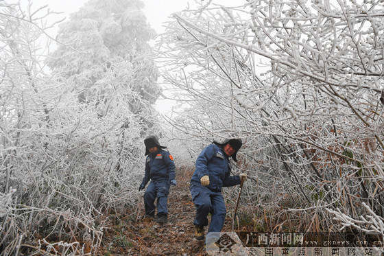 广西电网134条线路覆冰已基本消融 用电未受影
