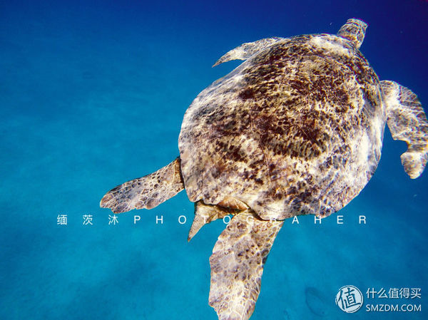 头脑一热，去马来西亚热浪岛了