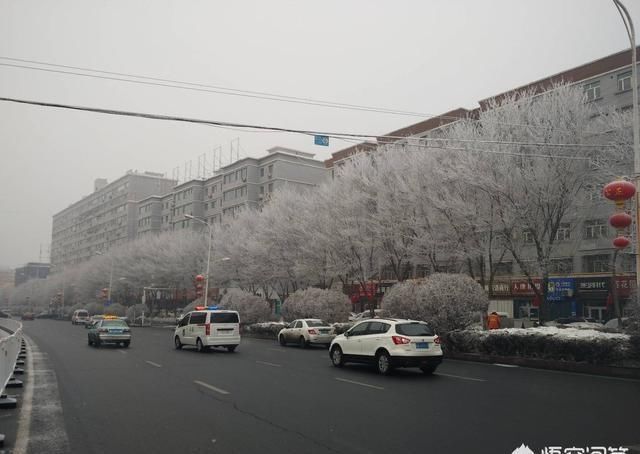 银装素裹的“雾”鲁木齐，别有一番风景！