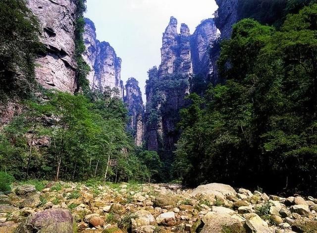 张家界天门山、张家界森林公园、杨家界、天子山三日游