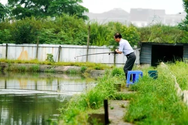 萧山的这样“绝活”你见过吗？得到的美味看着就让人流口水！