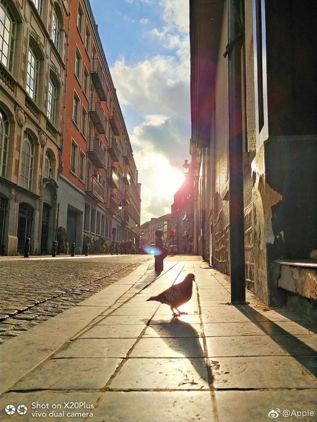 六大旗舰手机决出逆光拍照王者,主打逆光的viv