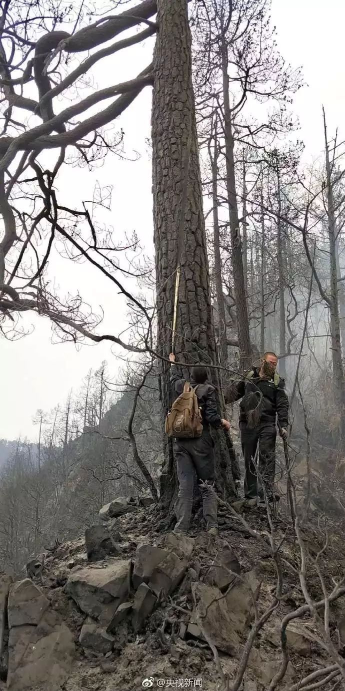 木里县森林火灾起火原因:初步确认为雷击火