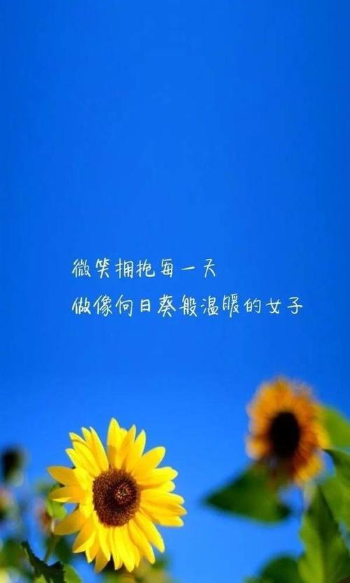 t010f032ea84e3fbf93.jpg