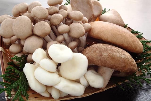 研究:蘑菇具有治疗前驱糖尿病的潜力