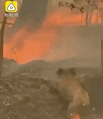 澳大利亚大火烧了多长时间