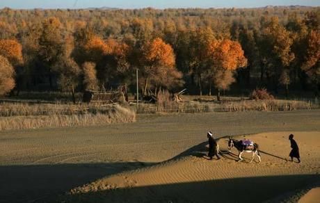 中国最神秘的民族 至今来源成谜 生活在沙漠深处 与世隔绝400年