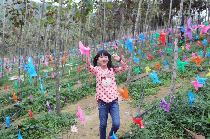 姗儿宝贝008 春天的颜色——云梯山公园踏春