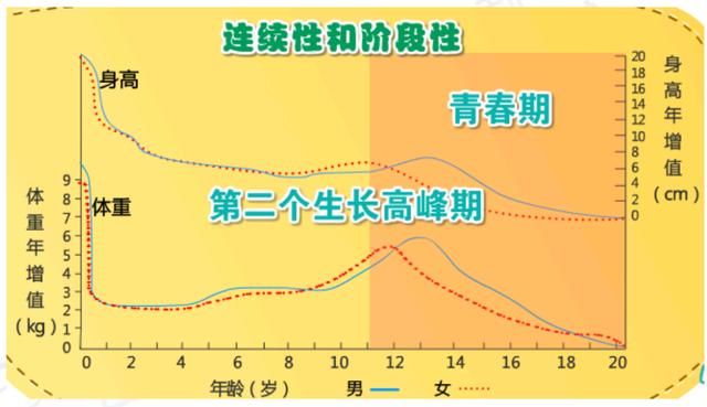 育儿小知识：了解儿童生长发育的特点，更好地陪伴孩子成长！