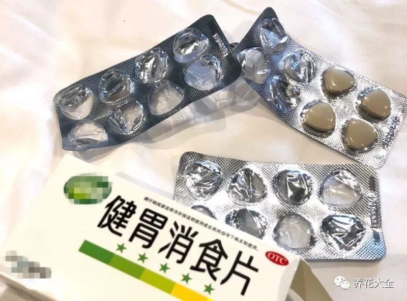 给花吃粒消食片，像打了兴奋剂，花开个没完!