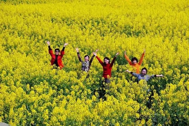 厦门一年四季都有花海，唯独春天最是浪漫