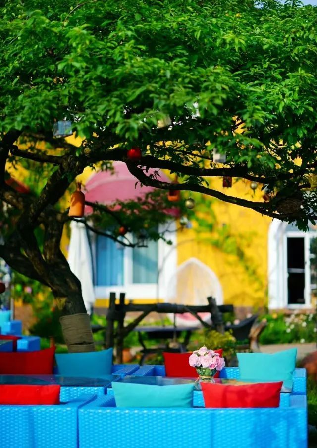 一对夫妻把青白江农家改造成“田园牧歌”，从此家有美景何必远方