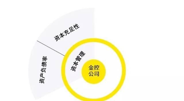 控股公司成立条件