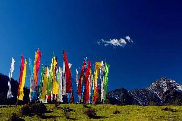 清明踏春冷门景点：看彩林、赏桂花，观峡谷，玩雪水，拒绝人挤人