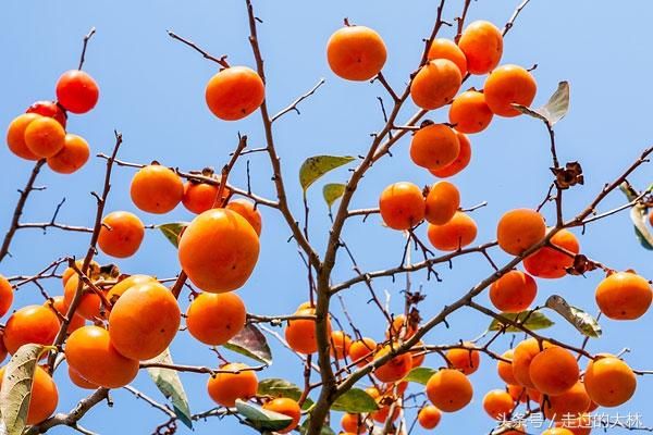 只有今生,没有来世,请好好珍惜这一世!