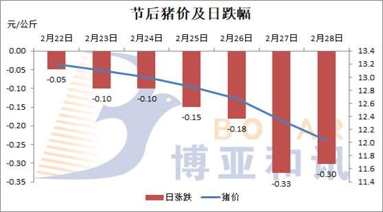 猪价再跌1元\/公斤 三月份行情是否可期？