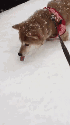 但是有点冻小手手!