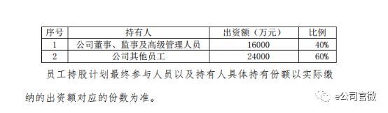 A股首例!凯迪生态员工持股计划\＂爆仓\＂