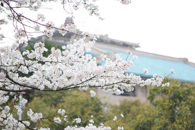 2018春天国内最美的30个地方,你去过几个?
