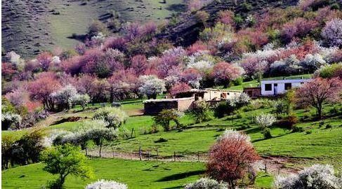 阳春三月，中国10个最美最值得去的旅游胜地，错过再等一年