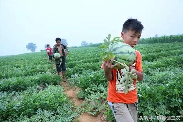 话题农村新出三个怪现象，每个村都会有，但都是睁一只眼闭一只眼