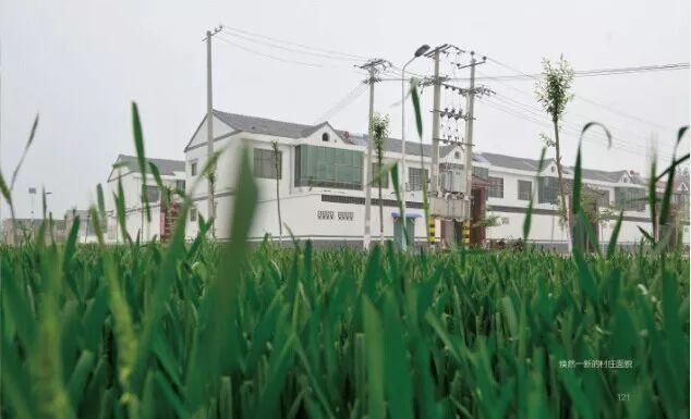 农民变股东!放活宅基地使用权!书记、村主任一人兼任!来看,咱河