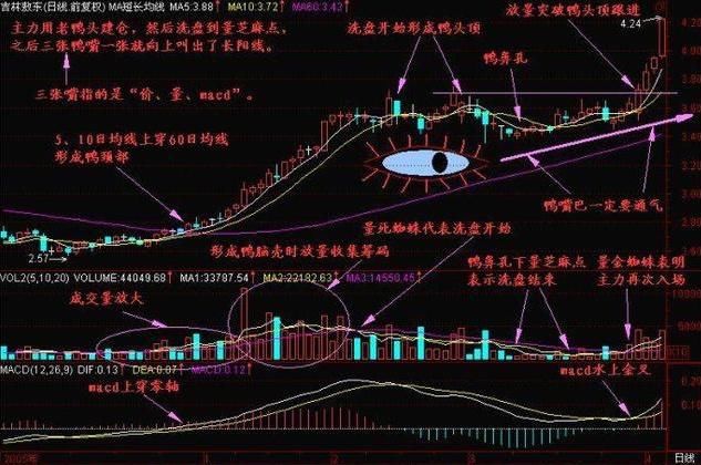 一旦中国股市出现老鸭头，永远不用想太多，只需要买买买!