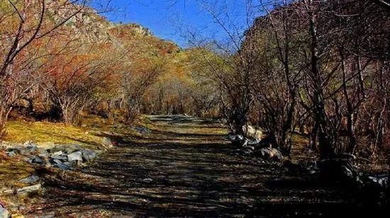 三月，青海无限美，不负好春光！