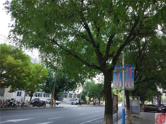 农村大婶给的3个土方,据说治湿疹特管用,一分