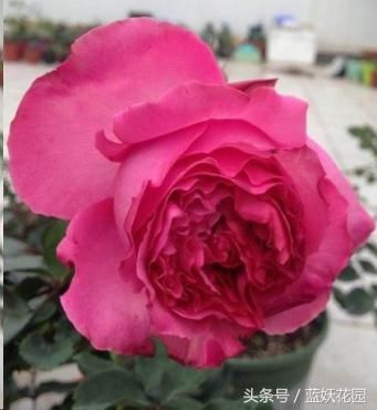 t011197e7acbffdcb59.jpg