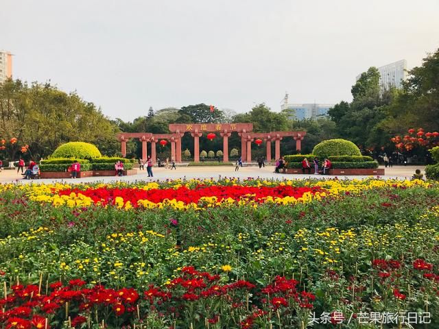 发财中国年，广州的新年新气象