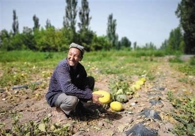 百果园一年能赚多少