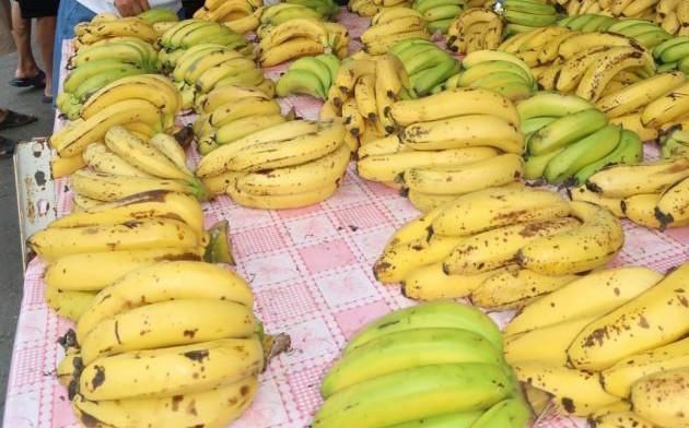 蔡省长下台倒计时?香蕉1公斤2毛,蕉农:民进党不倒,经济不会好