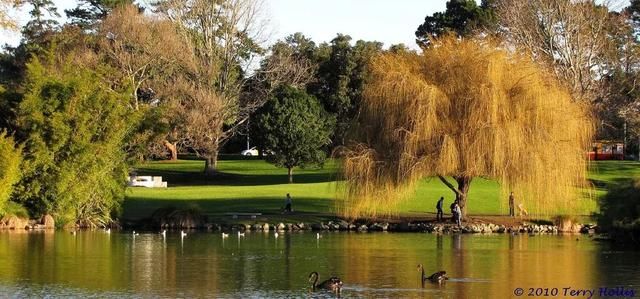 8天7晚带你领略，南半球新西兰北岛魔幻的秋天！