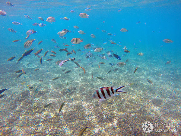 头脑一热，去马来西亚热浪岛了