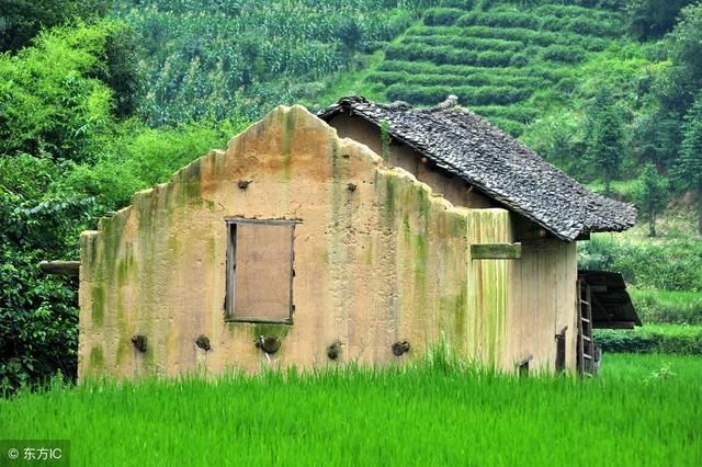 2018年，农村土地确权结束后，以下这3种人很可能占据农村土地！