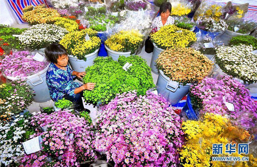 山东沂源: 特色+ 助推新型农业发展_【快资讯】