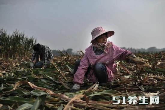 农村留守妻子的真实生活：自己独自照顾孩子对丈夫的事很麻木