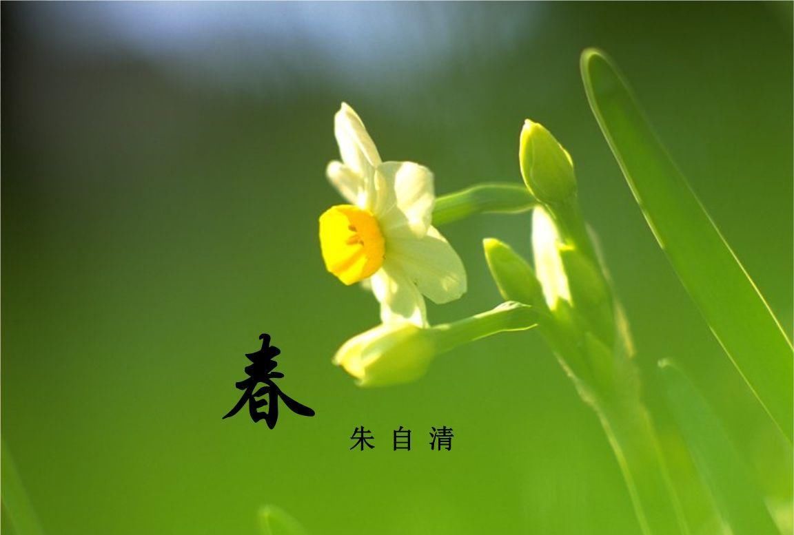 所有71周年,朱自清的散文依旧是我们v散文的典语法到小学英语初中离世图片