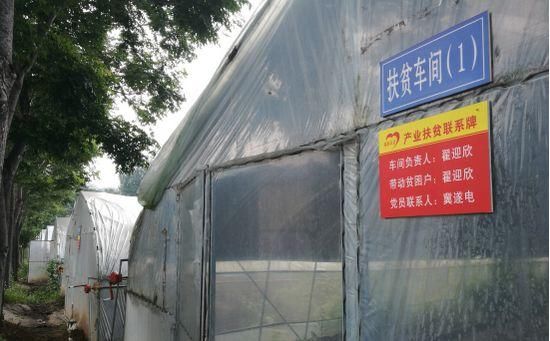 禹州有多少人口_禹州地图(3)