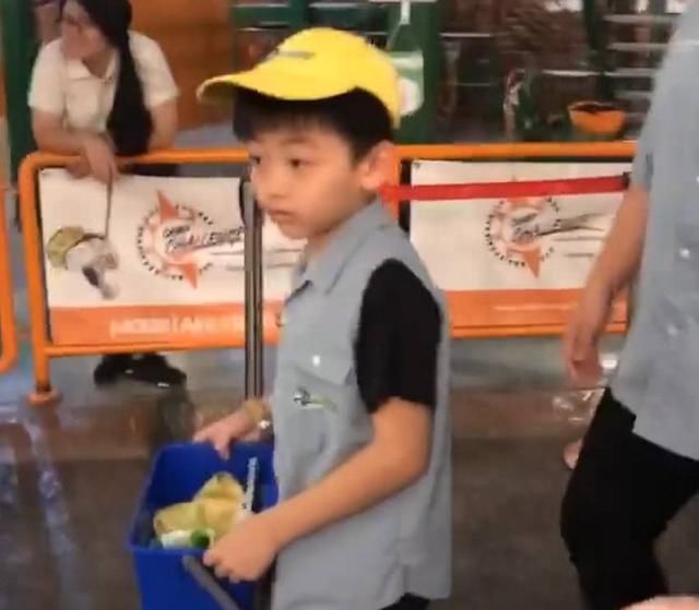 张柏芝晒儿子打工照片,谢霆锋直言别拿孩子赚